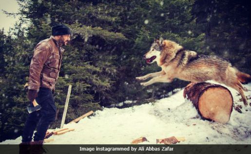 TZH - ali abbas zafar.jpg