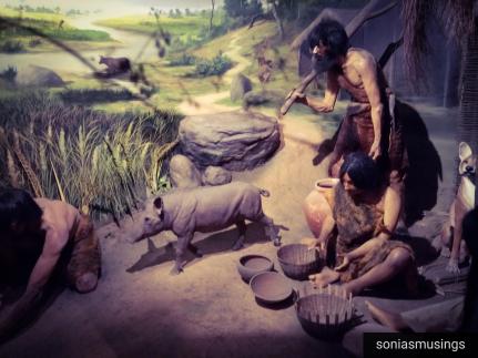 Science City - Evolution of Mankind