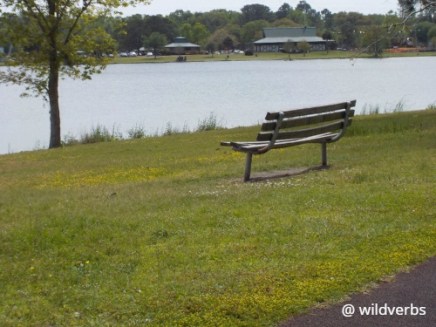 That bench where grit found a way amidst hopelessness