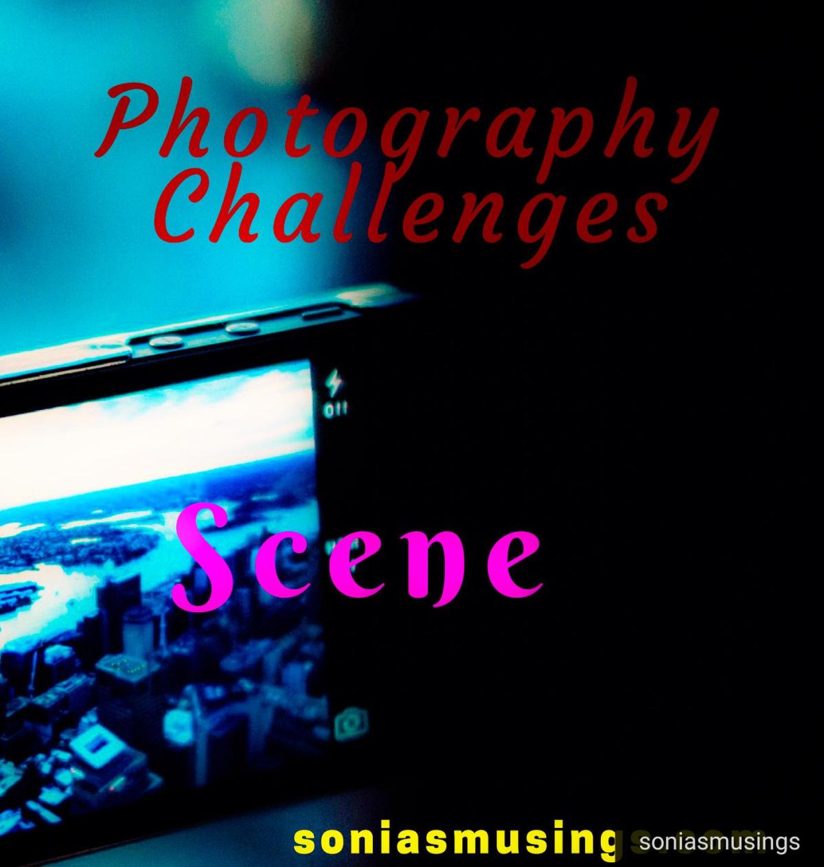 A new journey of&nbsp;togetherness