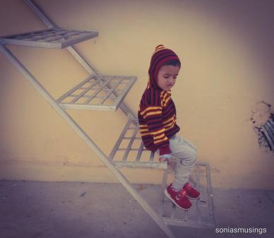 Pause and observe - I have imbibed these from him