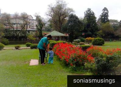 The reaction post observation and analysis