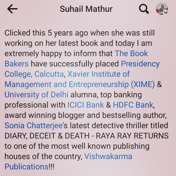 The official announcement of my upcoming book in the Detective Raya Ray ...